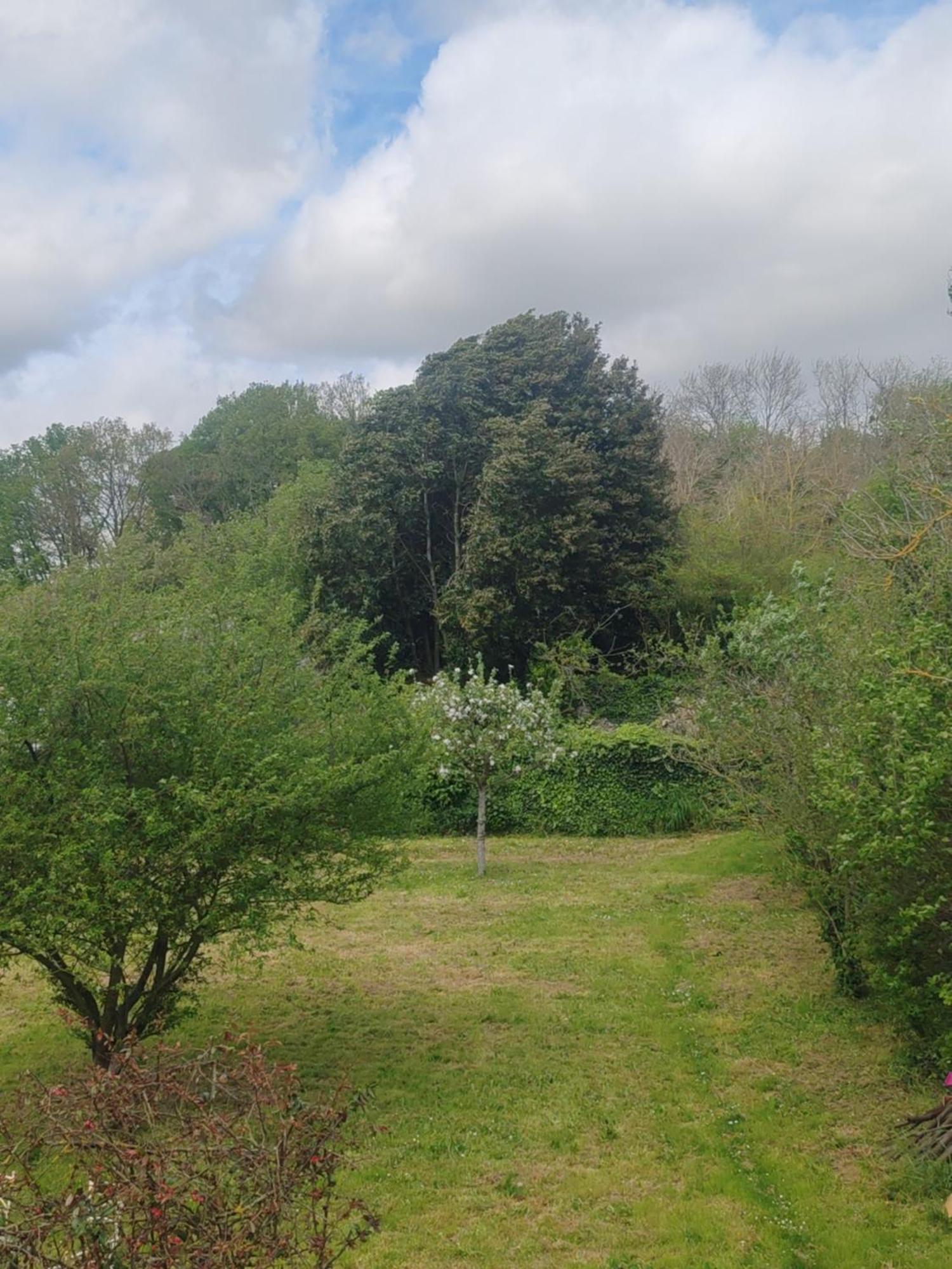 Chez Peggy Bed & Breakfast La Ferte sous Jouarre Bagian luar foto